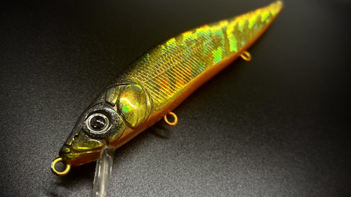 GOLDEN SHINER FLASH