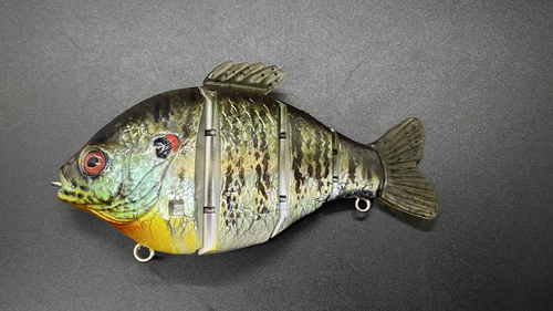PBG aka "Personal Best Gill" #00 - Image 11