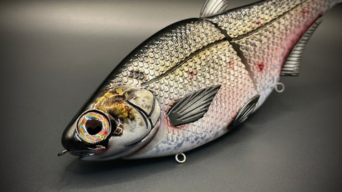 HIGH DEF HINKLE SHAD CLONE - GIZZARD SHAD HD