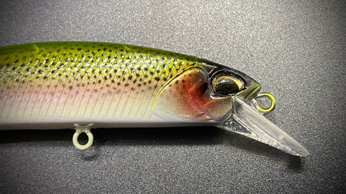 RAINBOW 100SP - Image 3