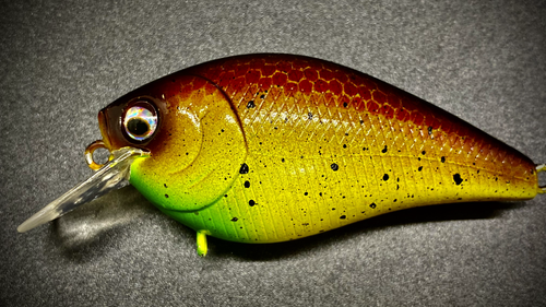 SECRET'S OUT - Image 2