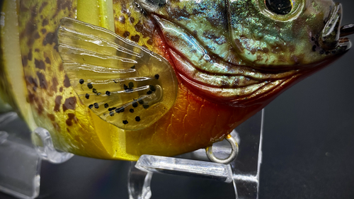 PBG aka "Personal Best Gill" #005 - Image 5