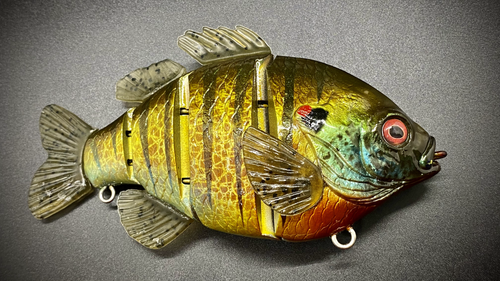 PBG aka "Personal Best Gill" #006 - Image 11
