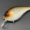 Thumbnail: COPPER SHAD