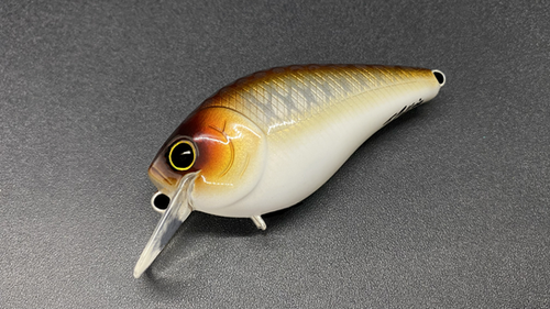 COPPER SHAD