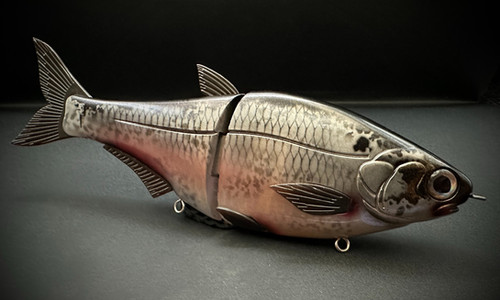 HINKLE SHAD JR. CLONE - GIZZARD SHAD - Image 2