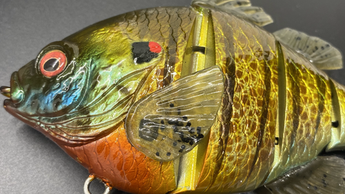 PBG aka "Personal Best Gill" #006 - Image 10