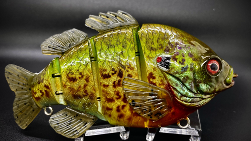 PBG aka "Personal Best Gill" #002 - Image 3