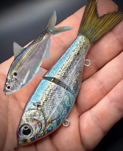 THREADFIN SHAD FINESSE GLIDE BAIT