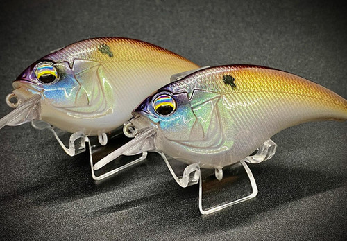 PRISIM SHAD - Image 3