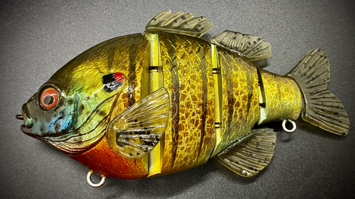 PBG aka "Personal Best Gill" #006 - Image 9