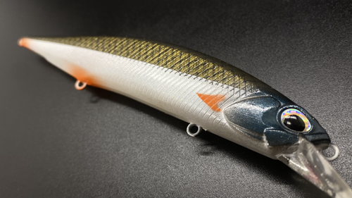GOLDEN BACK SHAD - Image 3