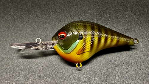 GORGEOUS GILL - Image 2