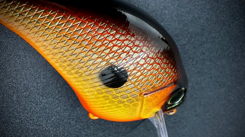 THE GIFT THAT KEEPS ON GIVING - Image 5