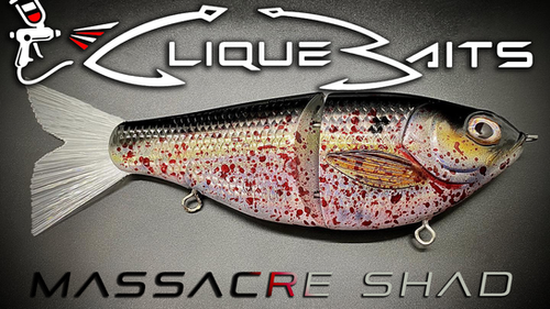 CHUM (MASSACRE) SHAD - Image 2
