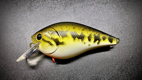 BABY BASS - Image 3