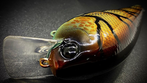 COPPER-COTTON CANDY CRAW - Image 5