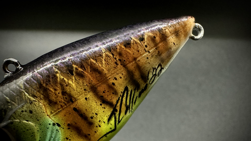 RED-EYE BLUE-GILL - Image 4