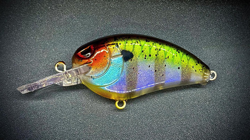 INDIGILL - SMALL JOHN MD 50 - Image 2