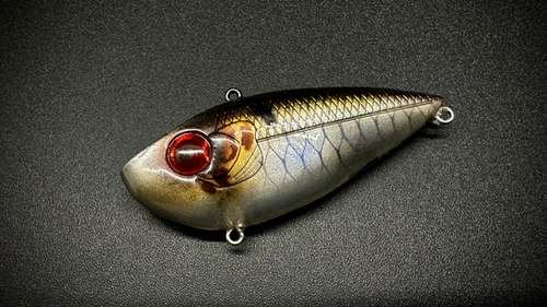 RED-EYE HAMMER SHAD
