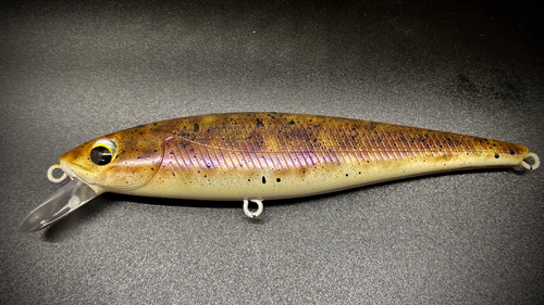 GREAT LAKES GOBY - Image 2