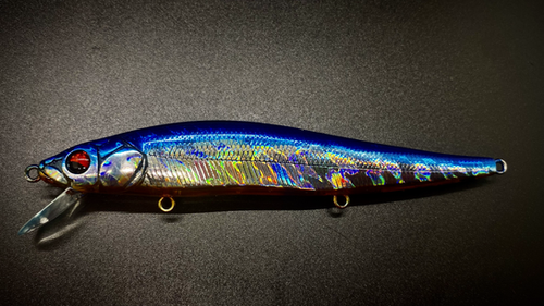 BLUE BACK/ORANGE BELLY FLASH - Image 2