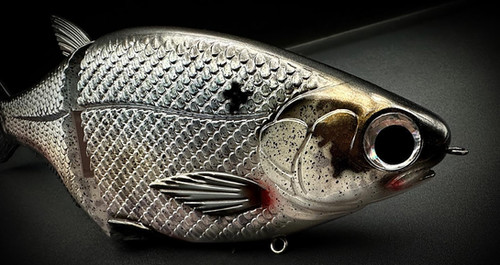 HINKLE SHAD CLONE - GIZZARD SHAD - Image 4