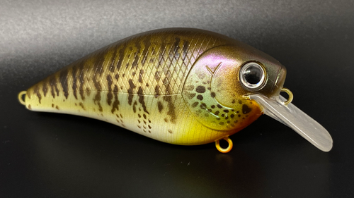 COLLINS GILL v2.0 - Image 4