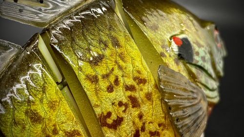 PBG aka "Personal Best Gill" #003 - Image 7