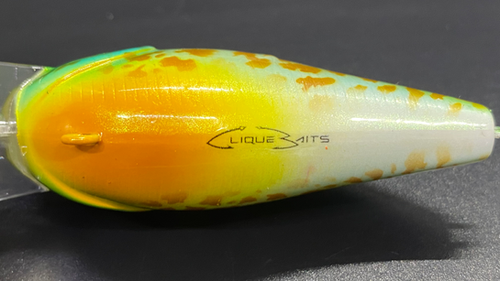 PUNKINSEED 2.5 - Image 4