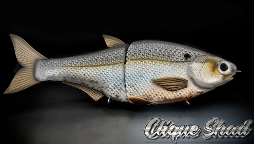 HINKLE SHAD CLONE - CLIQUE SHAD - Image 2