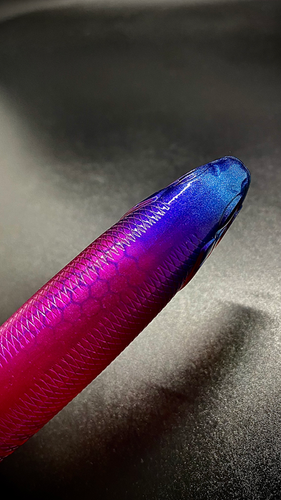 PAIR O' PENCILS! - Image 7