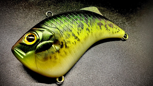 BLACK CRAPPIE HUMP BACK