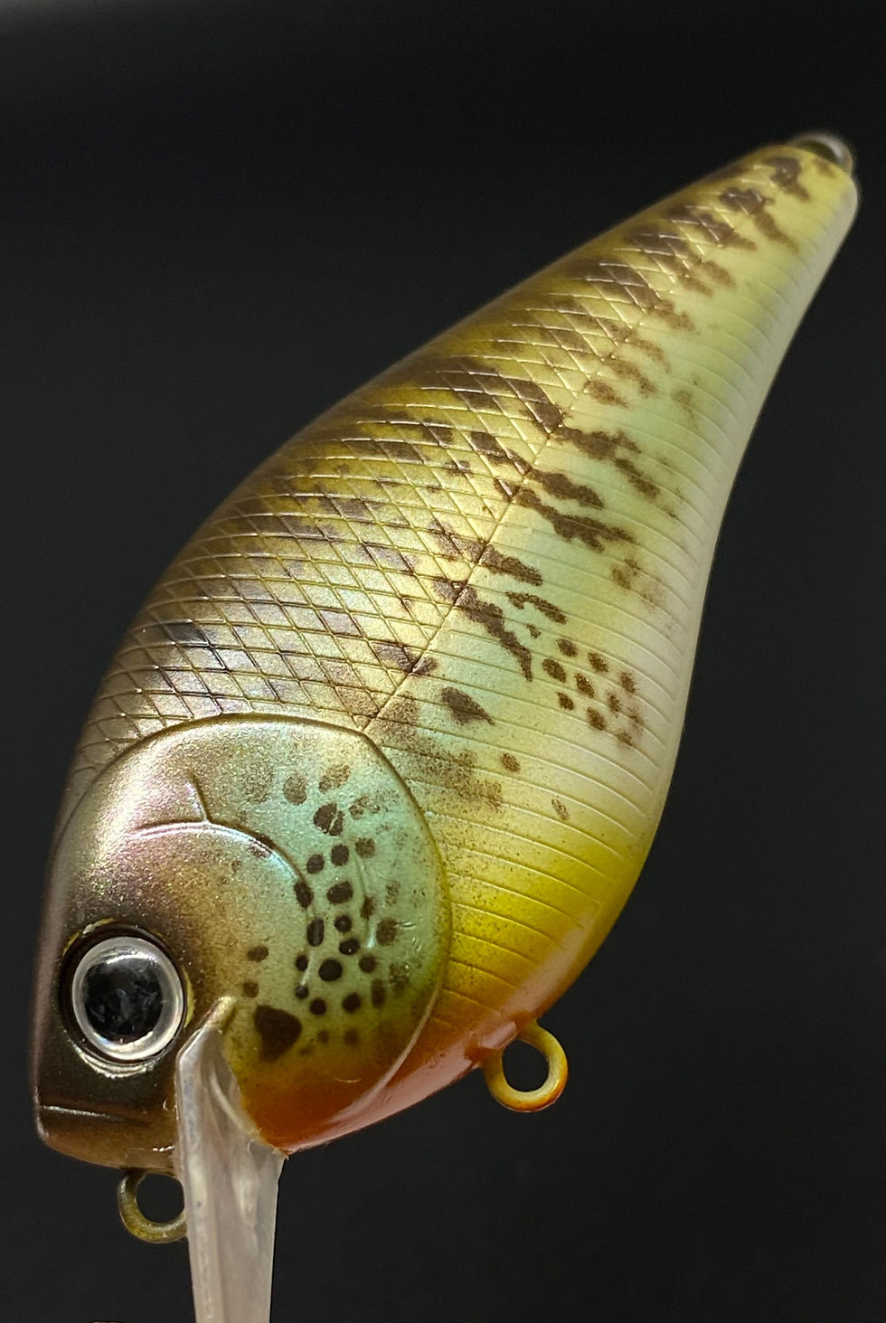 Thumbnail: COLLINS GILL v2.0