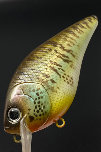 COLLINS GILL v2.0 - Image 5