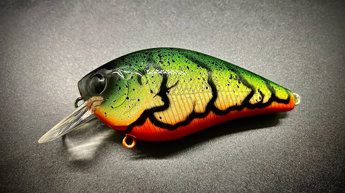 RASTA CRAW AYE - Image 2