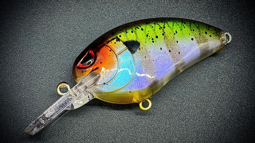 INDIGILL - SMALL JOHN MD 50