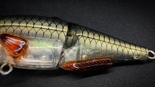 IAN'S WAKE (HURRICANE) - Image 6