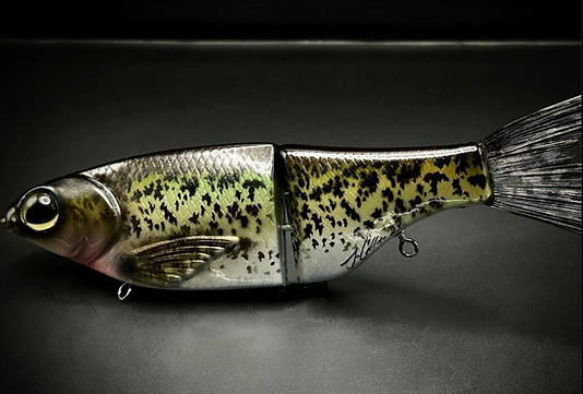 KGB SPRO CHAD SHAD - HYBRID CRAPPIE | Cliquebaits