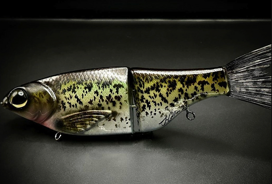 KGB SPRO CHAD SHAD - HYBRID CRAPPIE | Cliquebaits