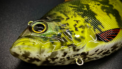 VITALIAN VALUE! - Image 9