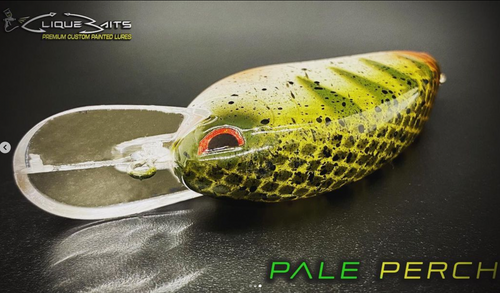 PALE PERCH - SMALL JON 50 - Image 3