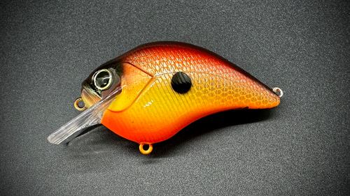 THE GIFT THAT KEEPS ON GIVING - Image 2