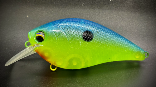 CITRON SHAD - Image 2