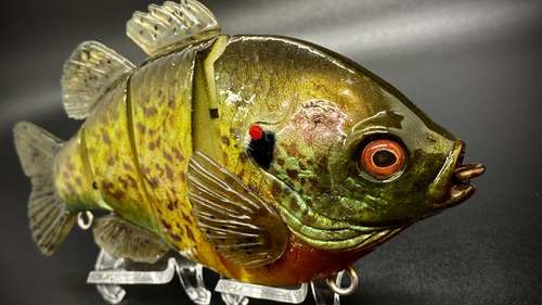 PBG aka "Personal Best Gill" #003 - Image 5