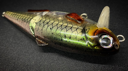 IAN'S WAKE (HURRICANE) - Image 5