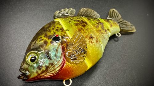 PBG aka "Personal Best Gill" #005