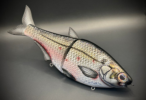 HIGH DEF HINKLE SHAD CLONE - GIZZARD SHAD HD - Image 3