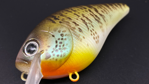 COLLINS GILL v2.0 - Image 2