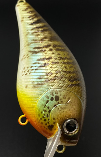 COLLINS GILL v2.0 - Image 6